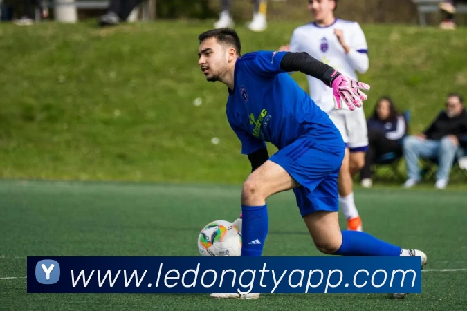 App Interface Preview