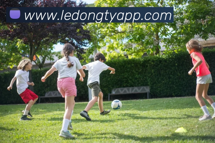 乐动体育APPAPP 封面图